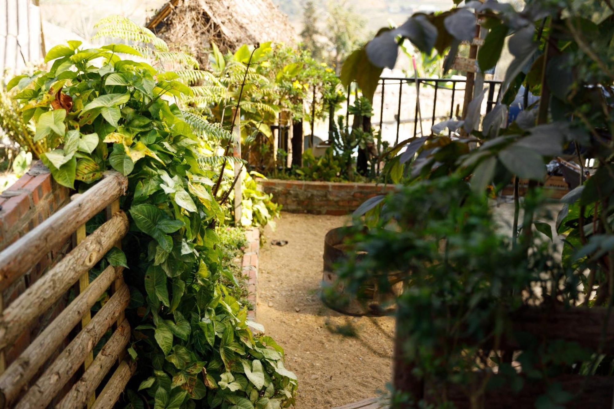 Отель Sapa Plum Eco House Экстерьер фото